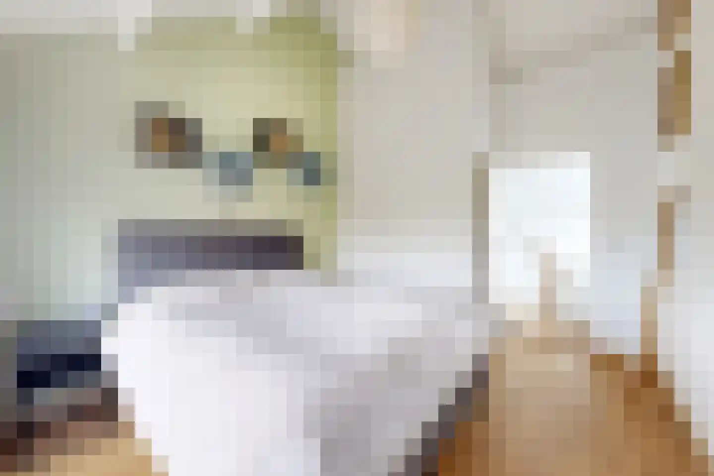 Pieter van Oldenborghlaan 7 Willemstad thumbnail 4
