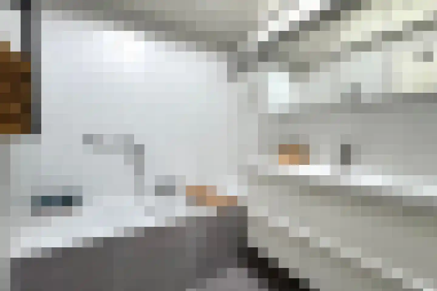Pieter van Oldenborghlaan 7 Willemstad thumbnail 48