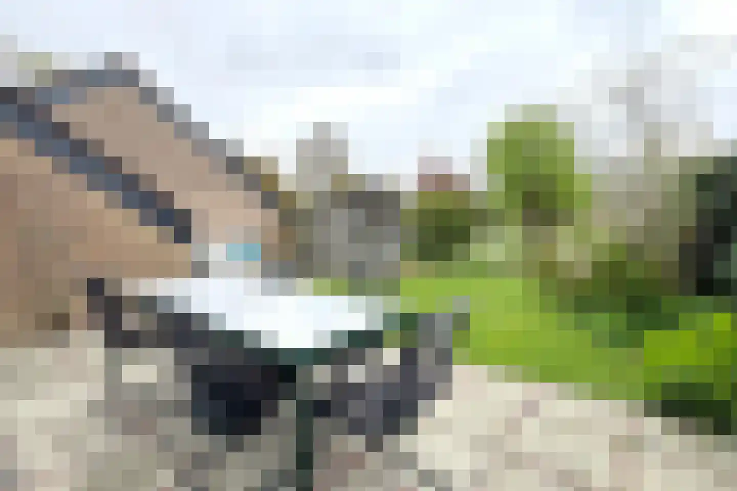 Pieter van Oldenborghlaan 7 Willemstad thumbnail 55
