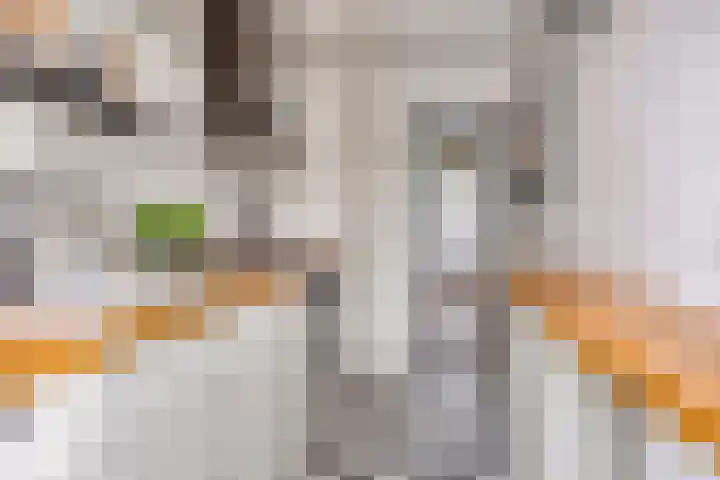 Pieter van Osstraat 10 's-Hertogenbosch thumbnail 10