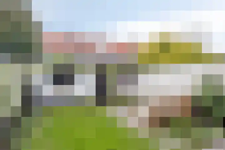 Pieter van Osstraat 10 's-Hertogenbosch thumbnail 11