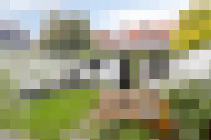 Pieter van Osstraat 10 's-Hertogenbosch thumbnail 12