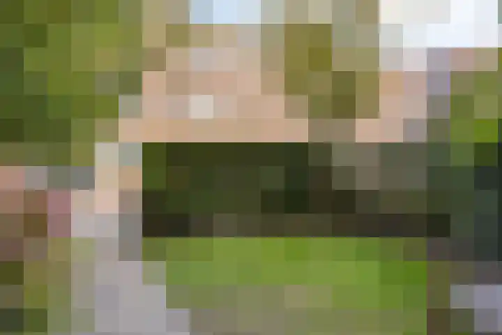 Pieter van Osstraat 10 's-Hertogenbosch thumbnail 24