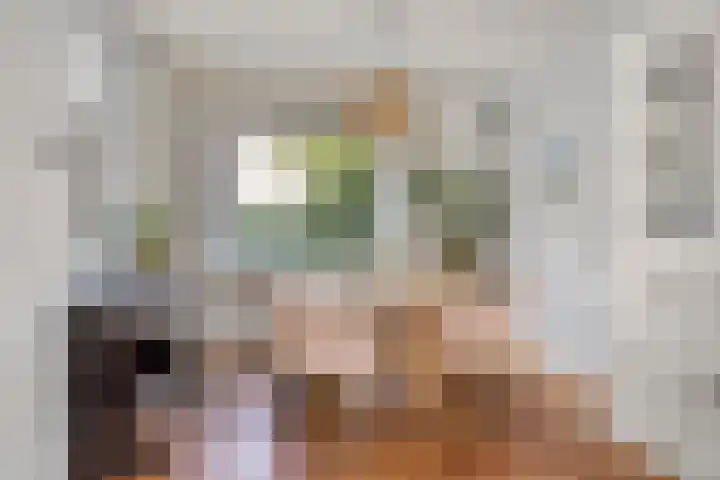 Pieter van Osstraat 10 's-Hertogenbosch thumbnail 5