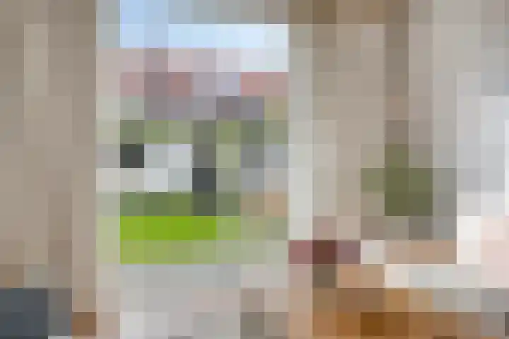 Pieter van Osstraat 10 's-Hertogenbosch thumbnail 8