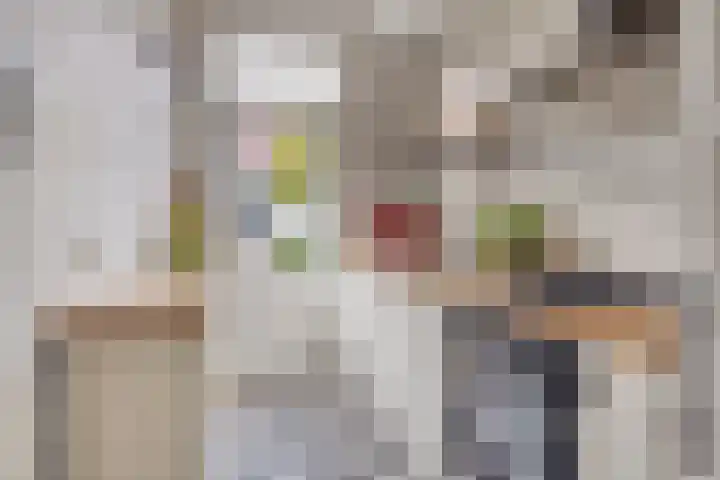 Pieter van Osstraat 10 's-Hertogenbosch thumbnail 9