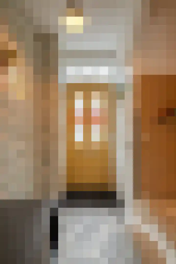 Pieter van Osstraat 28 's-Hertogenbosch thumbnail 19