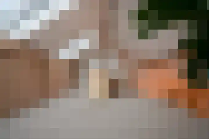 Pieter van Osstraat 28 's-Hertogenbosch thumbnail 33