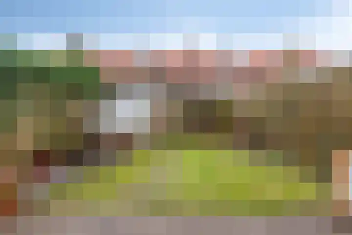 Pieter van Osstraat 28 's-Hertogenbosch thumbnail 36