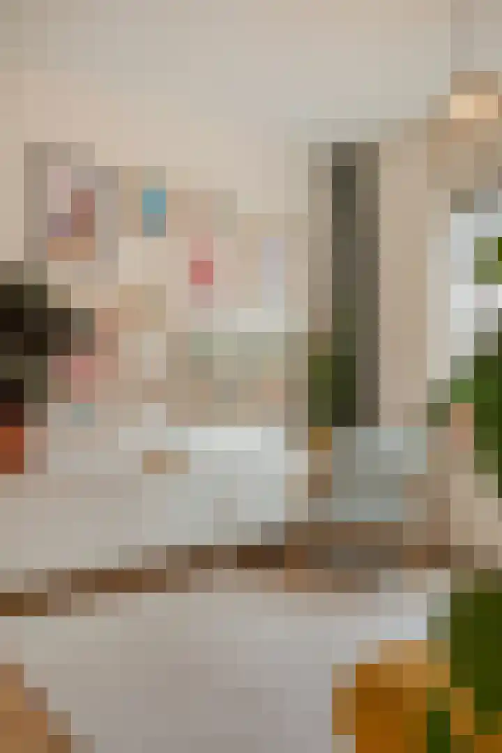 Pieter van Osstraat 28 's-Hertogenbosch thumbnail 5