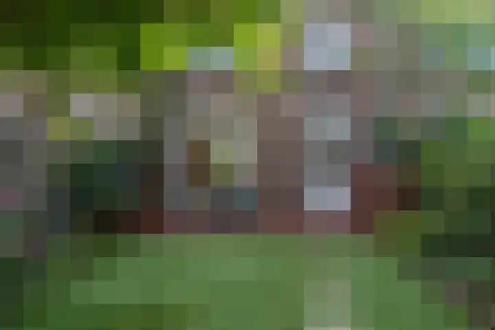 Pieter van Osstraat 34 's-Hertogenbosch thumbnail 33