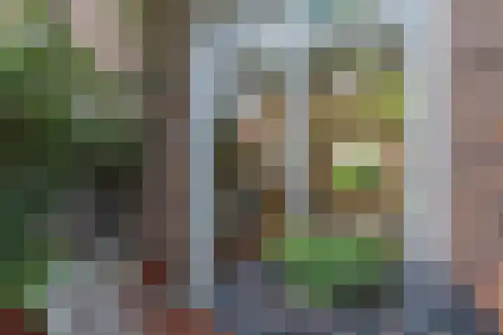 Pieter van Osstraat 34 's-Hertogenbosch thumbnail 36