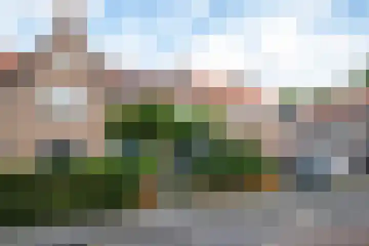 Pieter van Osstraat 34 's-Hertogenbosch thumbnail 38