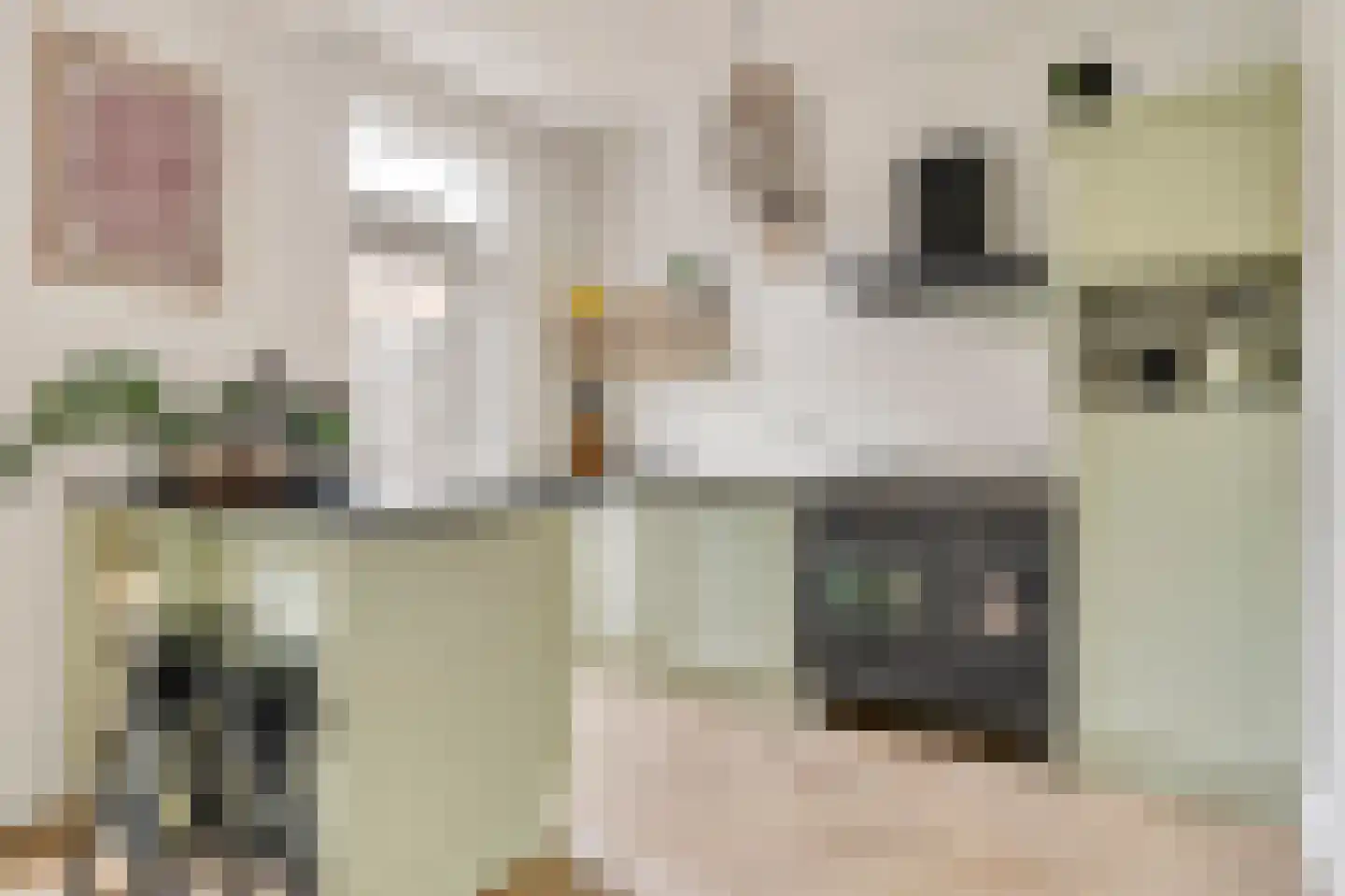Pieter van Osstraat 4 's-Hertogenbosch thumbnail 10