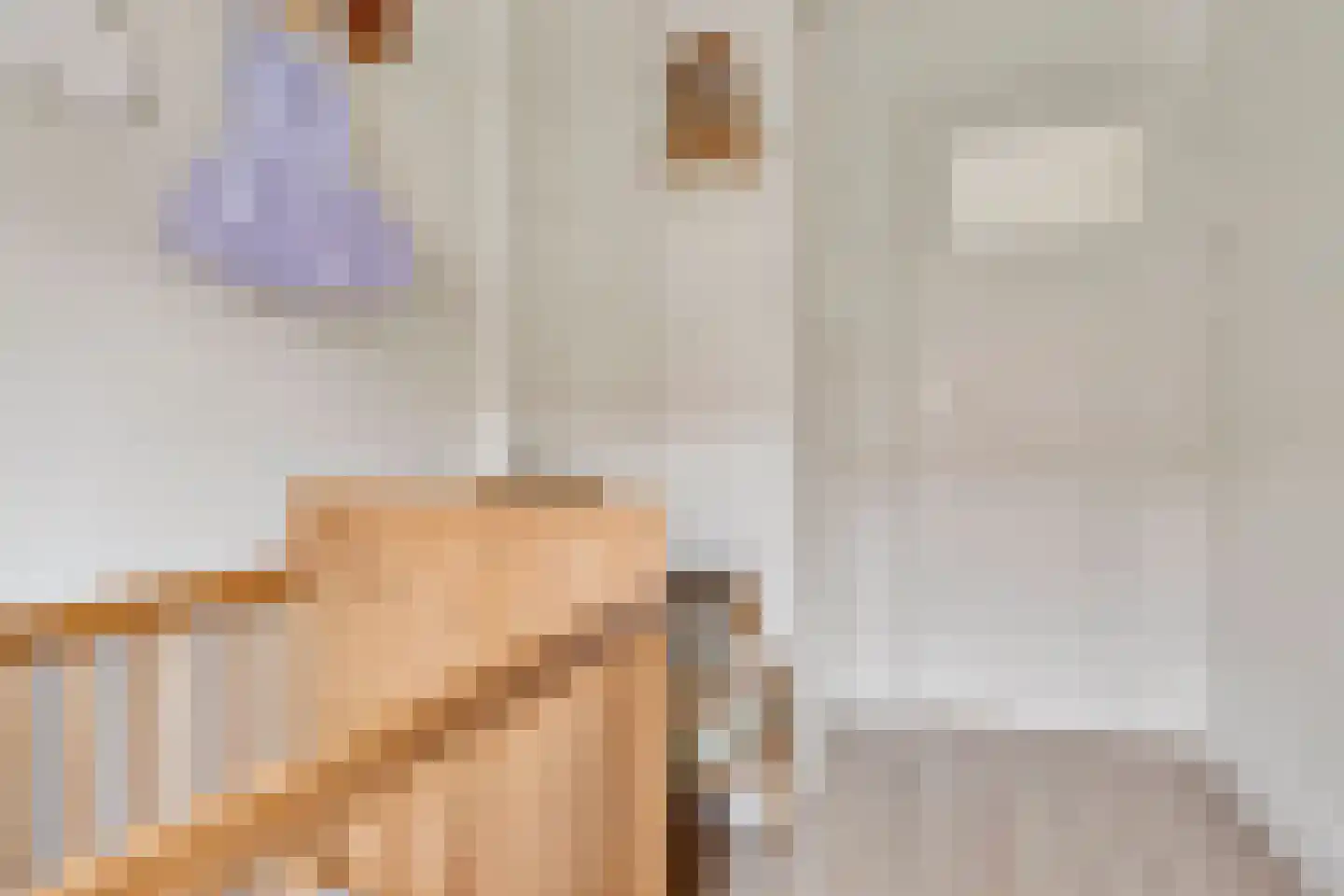 Pieter van Osstraat 4 's-Hertogenbosch thumbnail 24