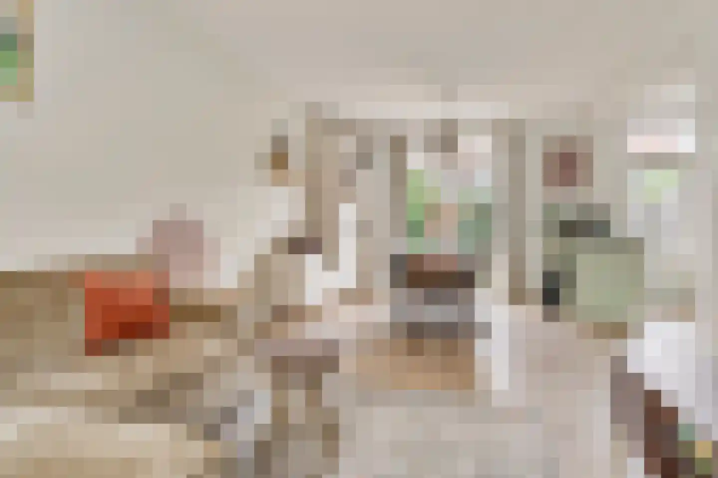 Pieter van Osstraat 4 's-Hertogenbosch thumbnail 6