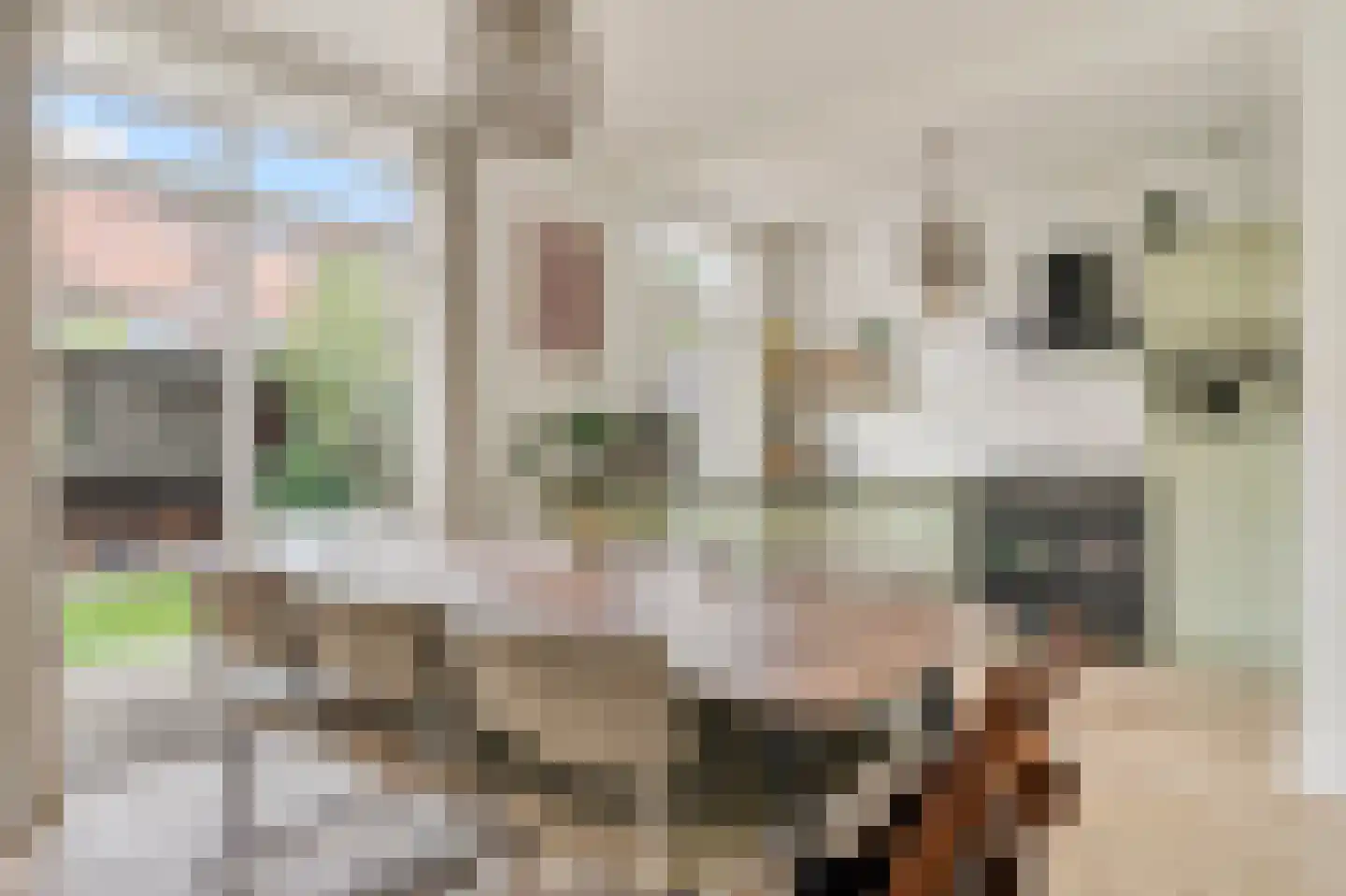 Pieter van Osstraat 4 's-Hertogenbosch thumbnail 9