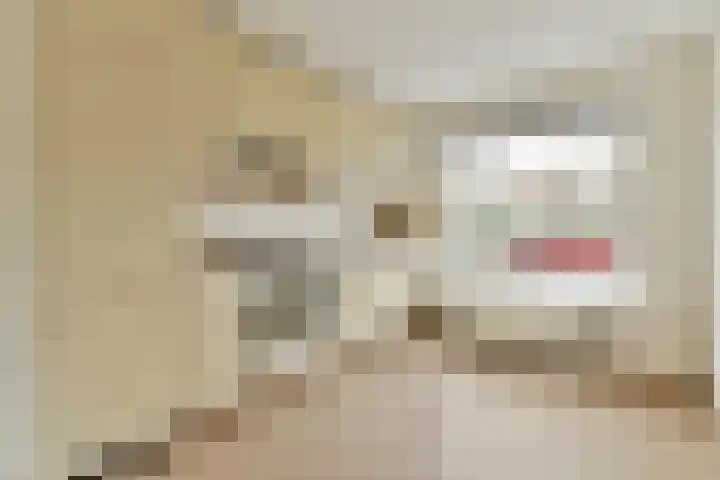 Pieter van Slingerlandstraat 4 Voorhout thumbnail 6