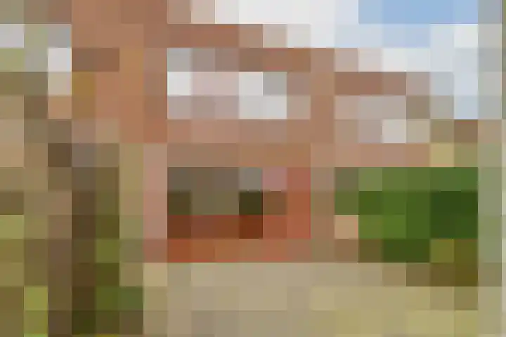 Pieter van Slingerlandstraat 4 Voorhout thumbnail 9