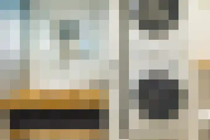 Pieter van Slingerlandstraat 48 Voorhout thumbnail 37