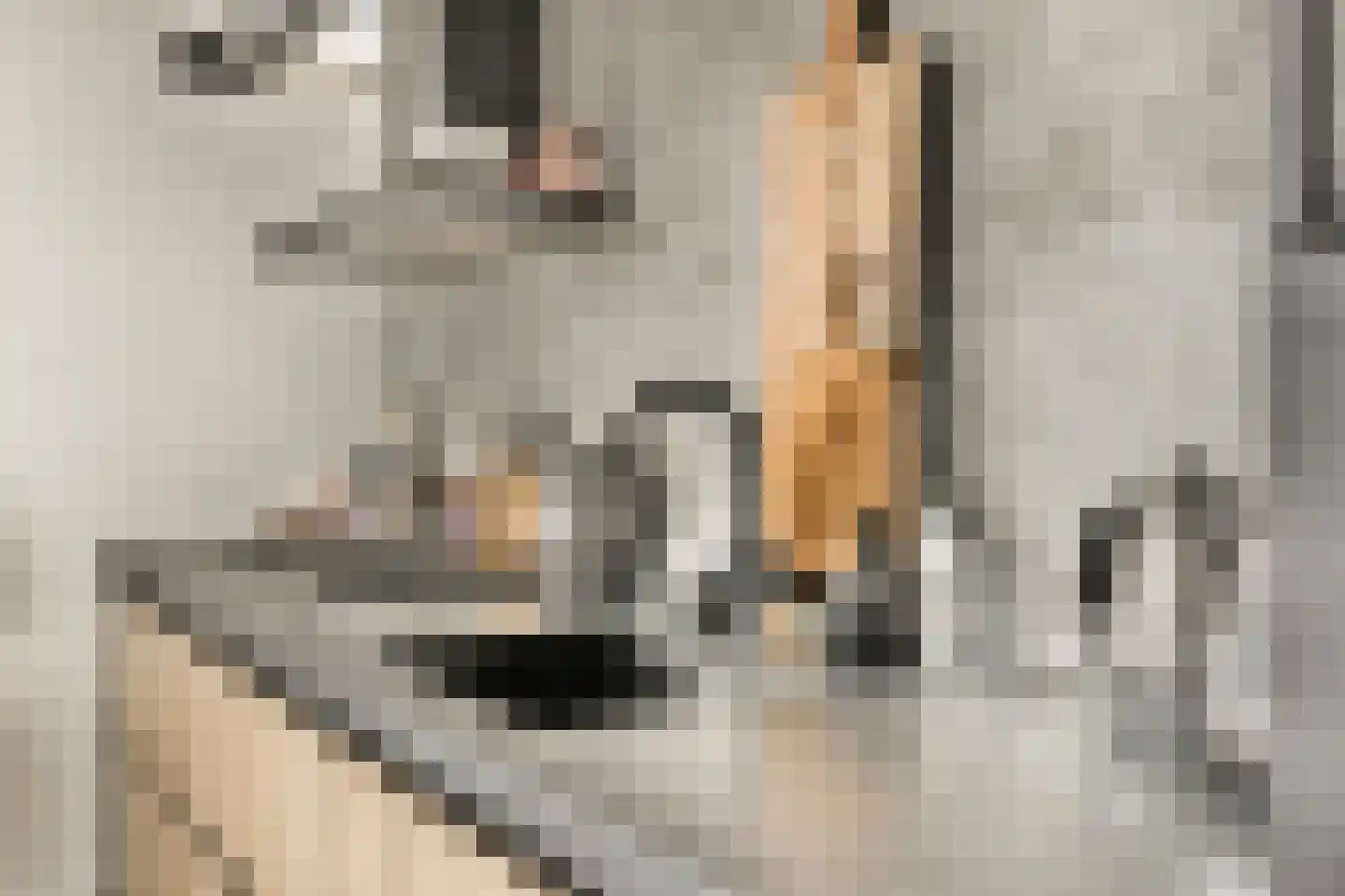 Pieter van Slingerlandstraat 62 Voorhout thumbnail 10