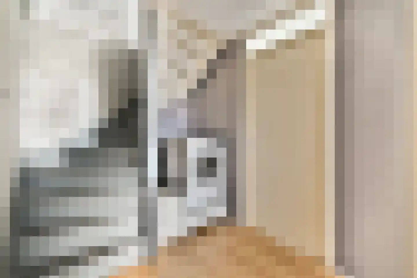 Pieter van Slingerlandstraat 62 Voorhout thumbnail 12