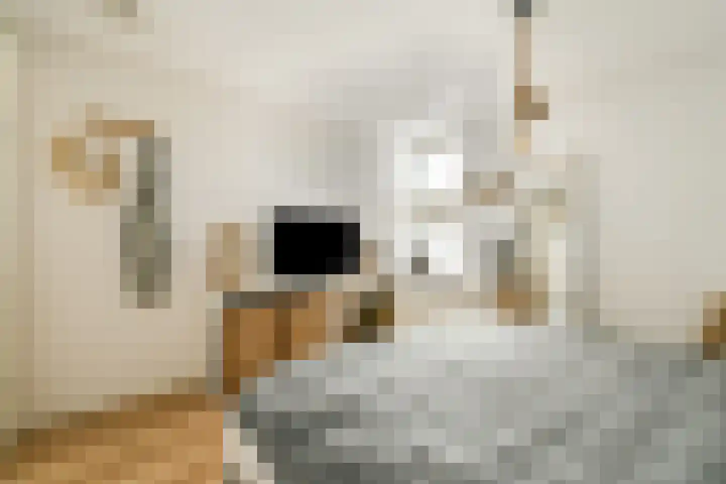 Pieter van Slingerlandstraat 62 Voorhout thumbnail 14