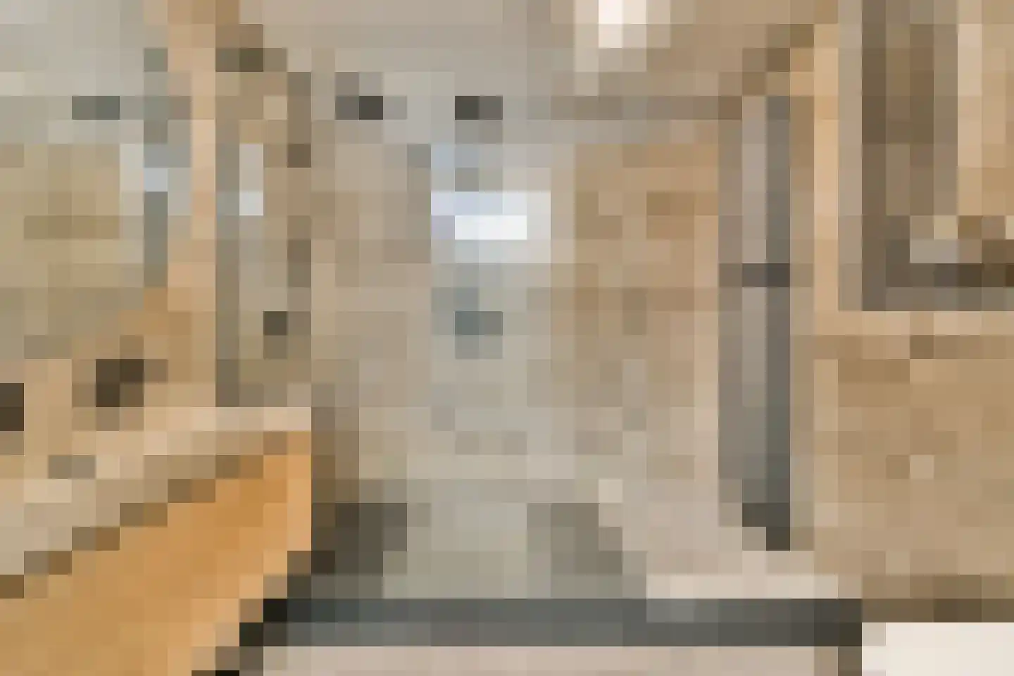 Pieter van Slingerlandstraat 62 Voorhout thumbnail 15