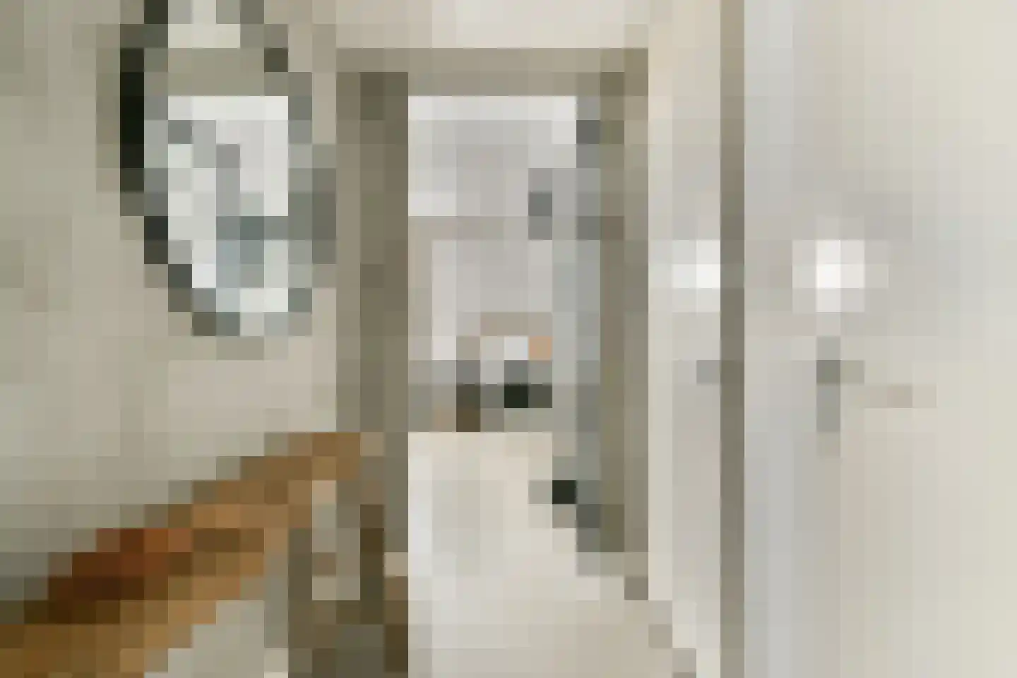 Pieter van Slingerlandstraat 62 Voorhout thumbnail 4