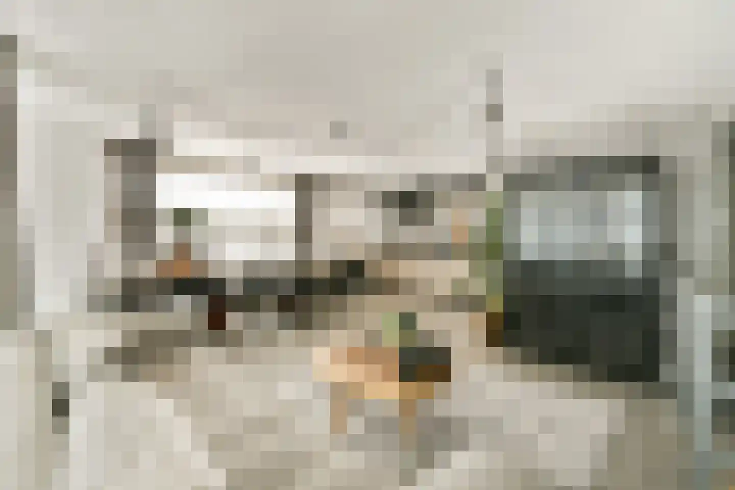 Pieter van Slingerlandstraat 62 Voorhout thumbnail 8