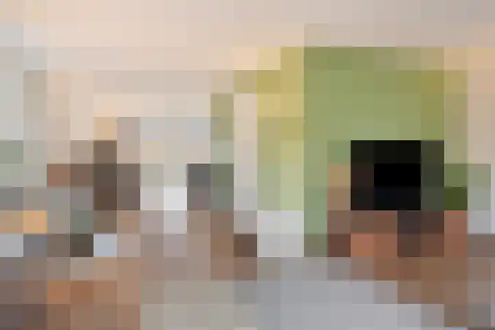 Pieter van Varklaan 1 Ede thumbnail 15