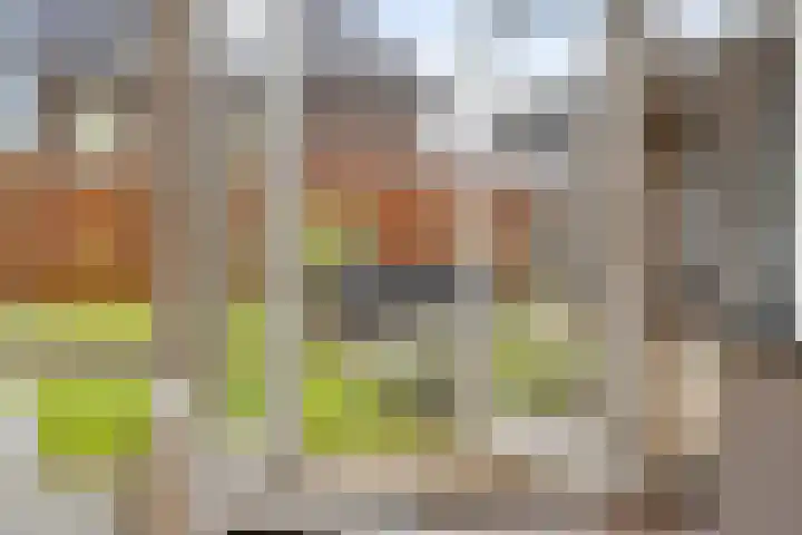 Pieter van Varklaan 1 Ede thumbnail 19