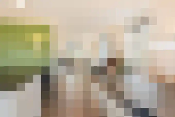 Pieter van Varklaan 1 Ede thumbnail 20