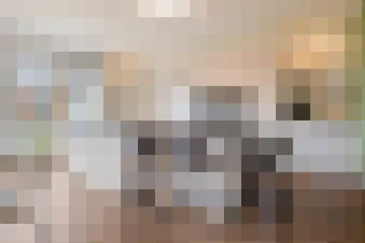 Pieter van Varklaan 1 Ede thumbnail 21