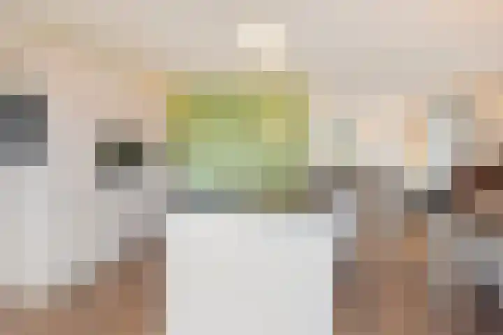Pieter van Varklaan 1 Ede thumbnail 22