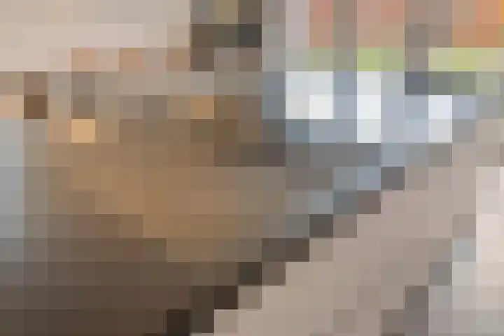 Pieter van Varklaan 1 Ede thumbnail 25