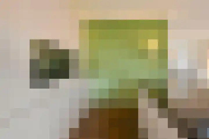 Pieter van Varklaan 1 Ede thumbnail 27