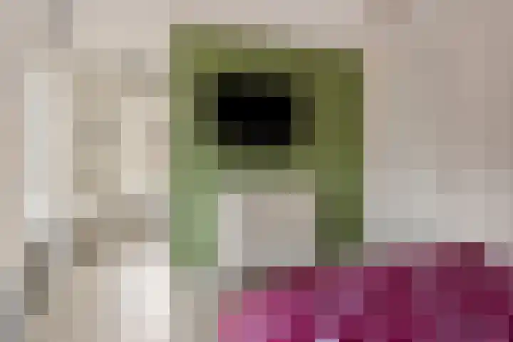 Pieter van Varklaan 1 Ede thumbnail 33