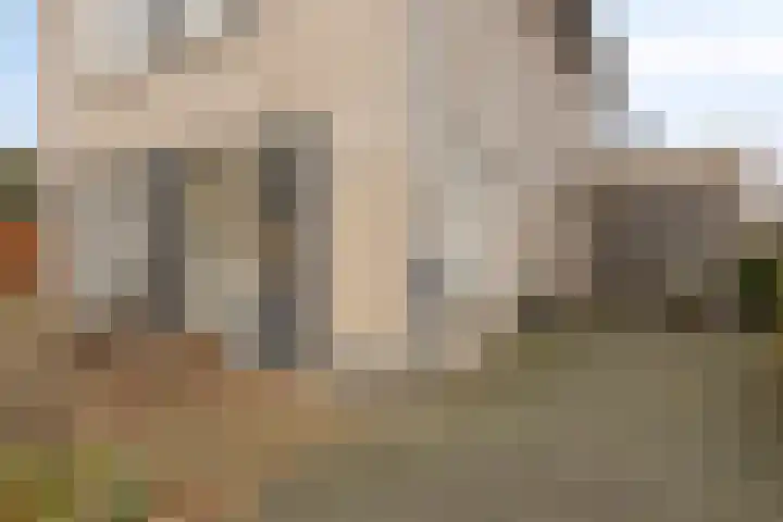 Pieter van Varklaan 1 Ede thumbnail 5