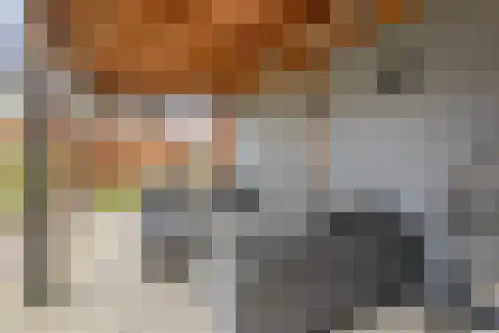 Pieter van Varklaan 1 Ede thumbnail 55