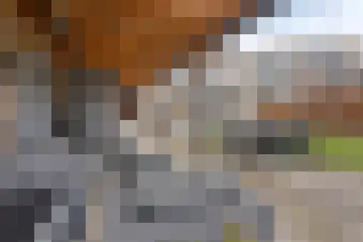 Pieter van Varklaan 1 Ede thumbnail 56