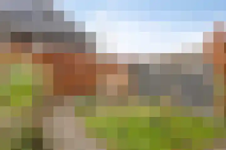 Pieter van Varklaan 1 Ede thumbnail 58