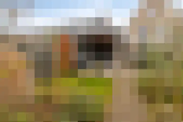 Pieter van Varklaan 1 Ede thumbnail 59