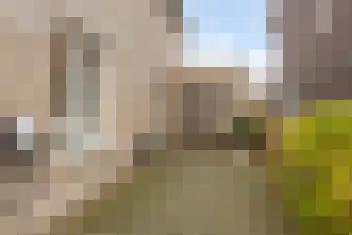 Pieter van Varklaan 1 Ede thumbnail 6
