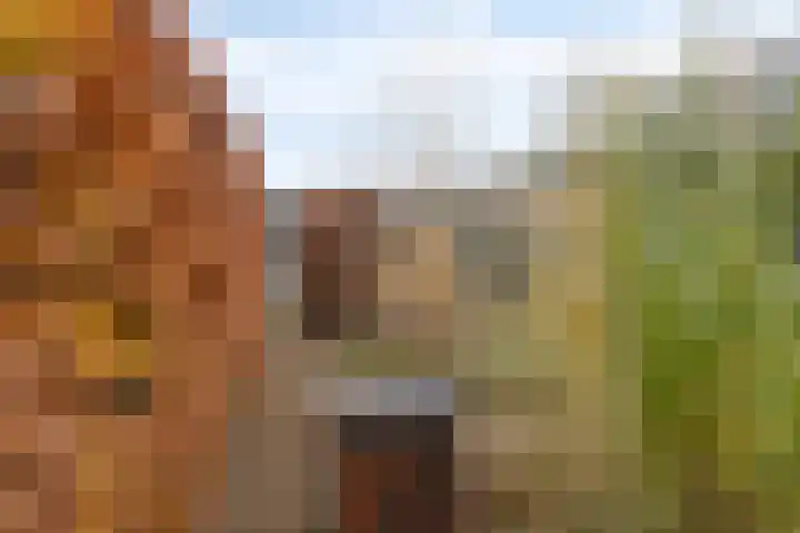 Pieter van Varklaan 1 Ede thumbnail 60