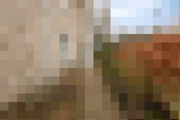 Pieter van Varklaan 1 Ede thumbnail 62