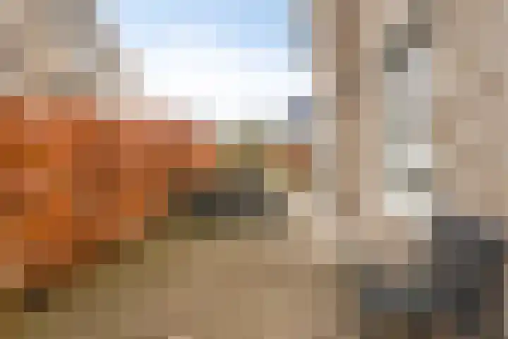 Pieter van Varklaan 1 Ede thumbnail 64