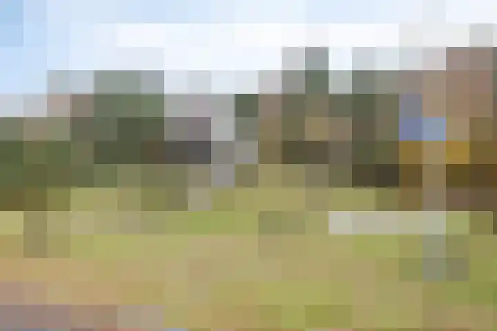 Pieter van Varklaan 1 Ede thumbnail 71