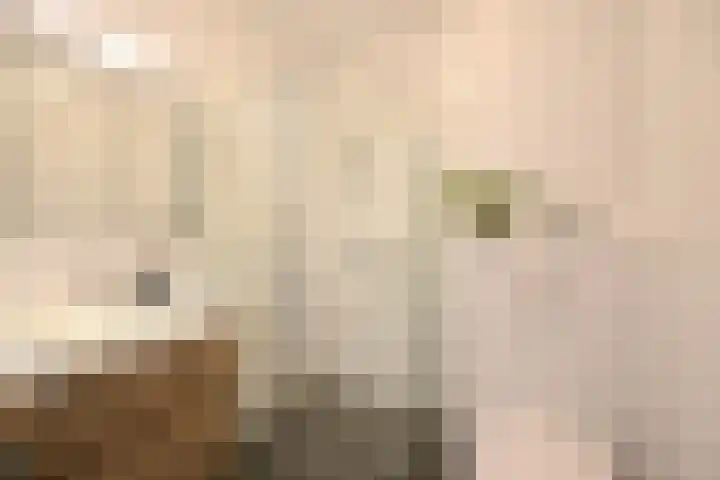 Pieter van Velzenhof 17 Weesp thumbnail 10