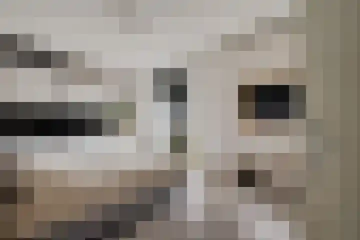 Pieter van Vollenhovenstraat 11 Leusden thumbnail 10